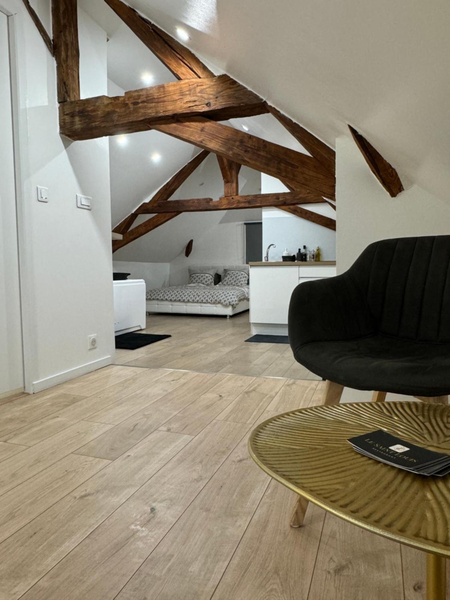 Le Cocon Du Leman Un Espace Cosy Ou Vous Retrouver 安菲翁·莱斯·班恩斯 外观 照片