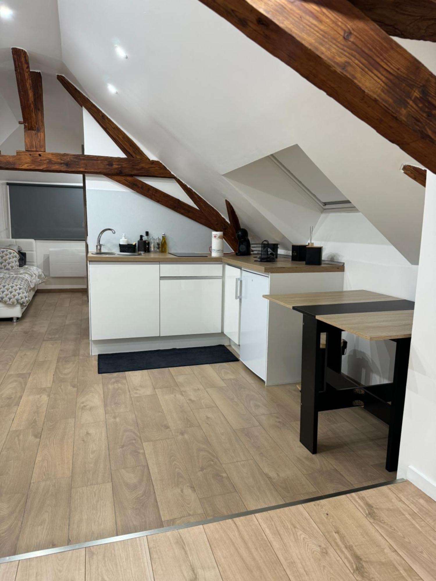 Le Cocon Du Leman Un Espace Cosy Ou Vous Retrouver 安菲翁·莱斯·班恩斯 外观 照片