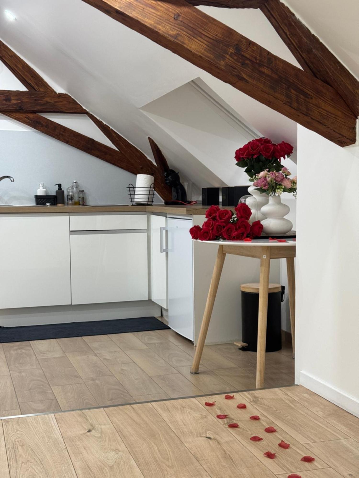 Le Cocon Du Leman Un Espace Cosy Ou Vous Retrouver 安菲翁·莱斯·班恩斯 外观 照片